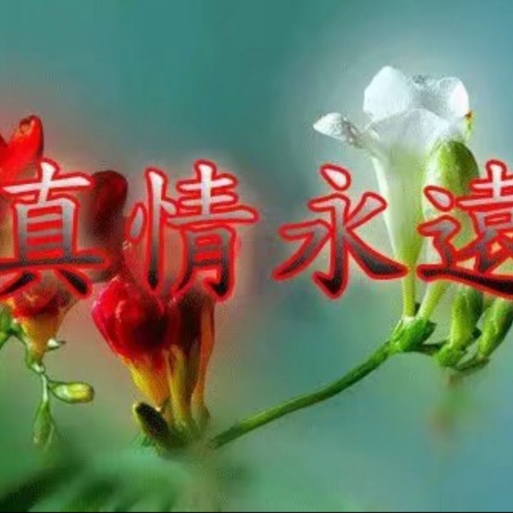 为爱流下伤心泪