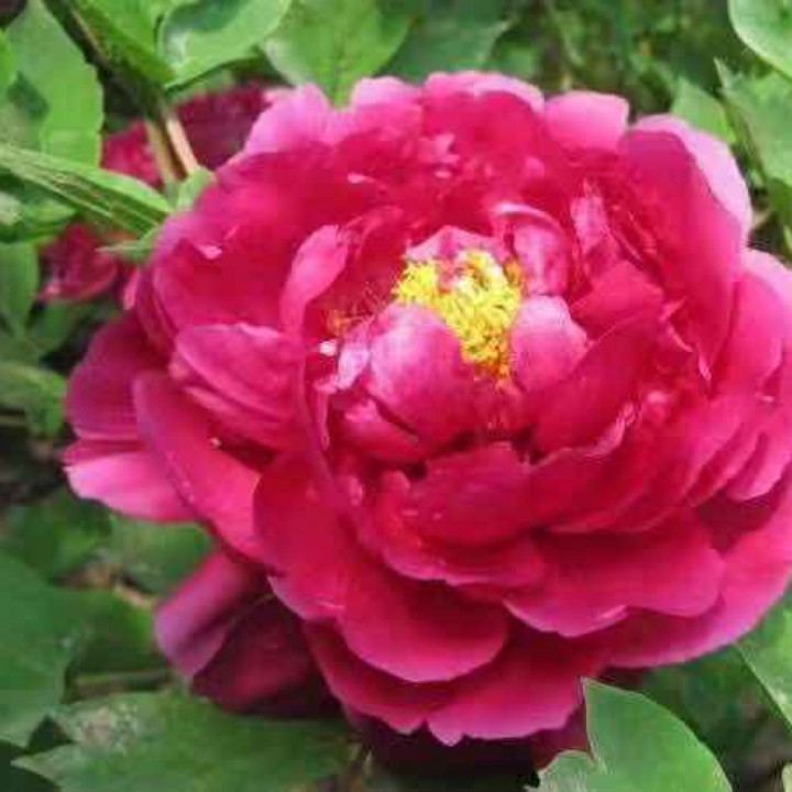 长路漫漫陪你走 - 相遇随缘,以歌会友 - 唱吧,玩