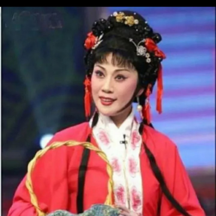 豫剧 秦香莲 我不告天来不告地 选段