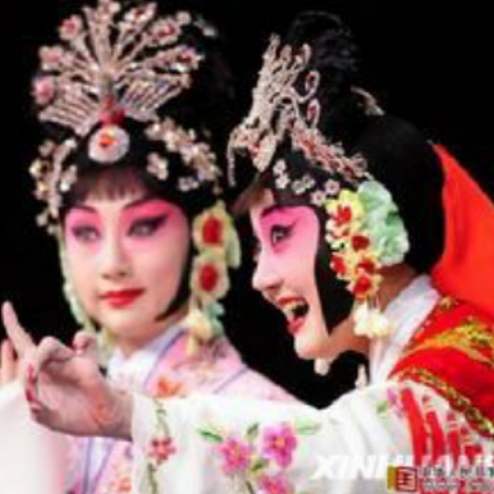 豫剧拷红 尊姑娘