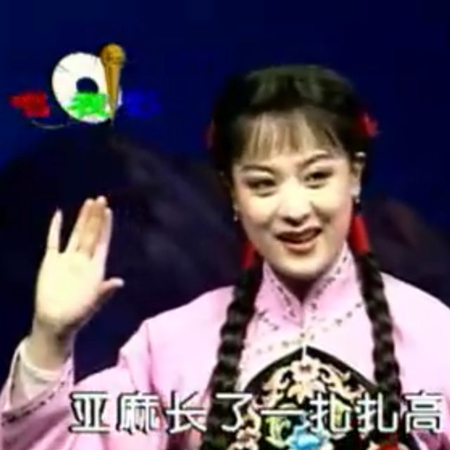 评剧 小女婿 亚麻长了一扎扎高