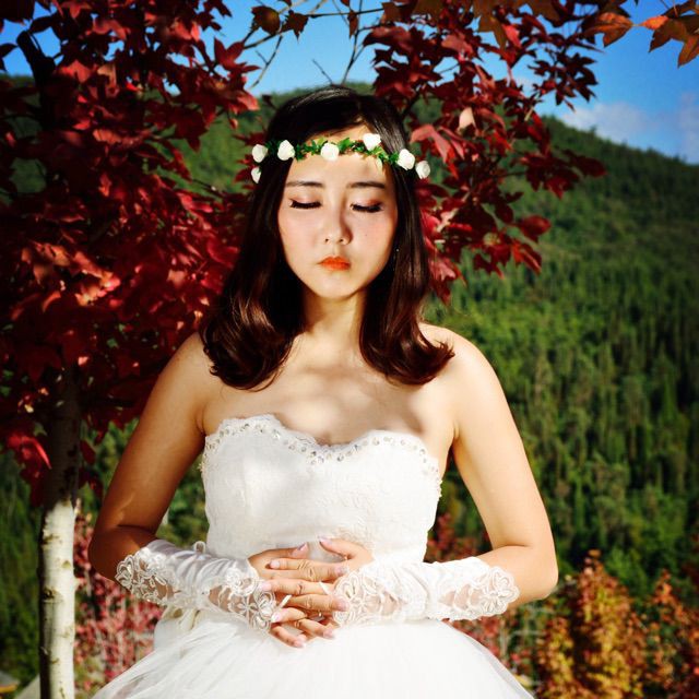 烟花二月去踏青【和声版】