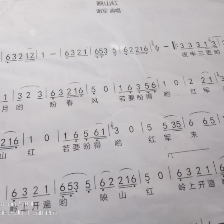 映山红【合唱版】