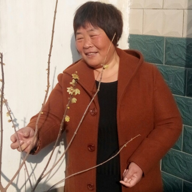 豫剧 幸福歌 贾文龙【王伟专属】