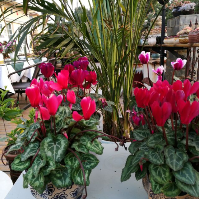 诗朗诵人民万岁【北京交响乐团长江之歌】