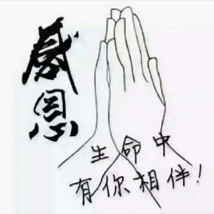 祝你一路顺风 - 无情无爱――此生我认命 唱吧,听见