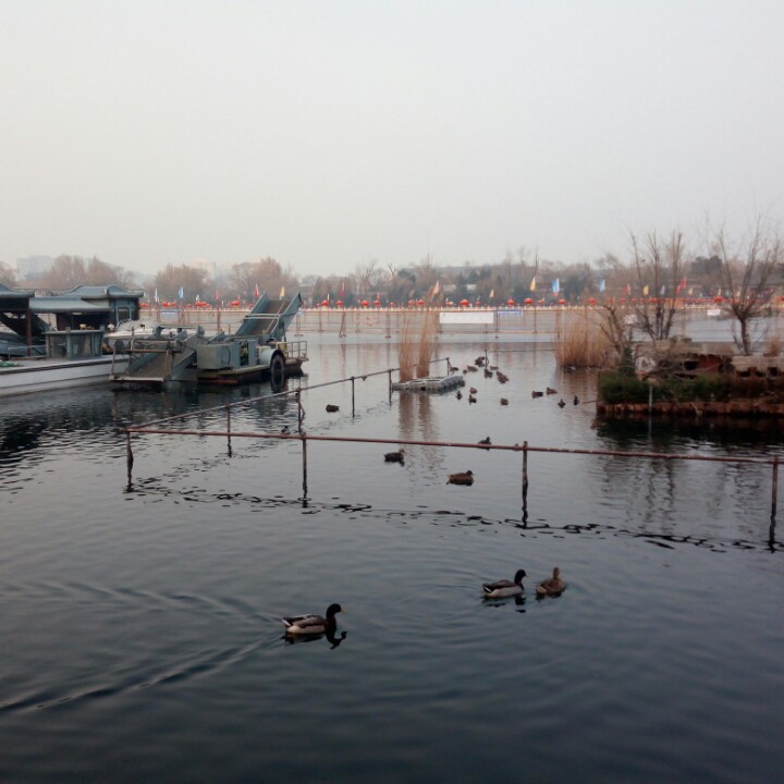 京剧 沙家浜 军民鱼水情