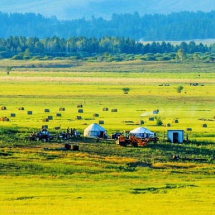 草原芬芳【原版伴奏】