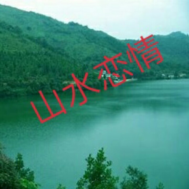 山水恋情