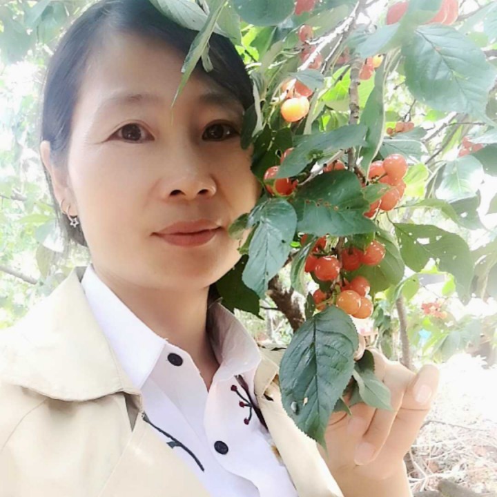 走出你的世界我更寂寞