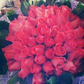 我只在乎你【张碧晨】