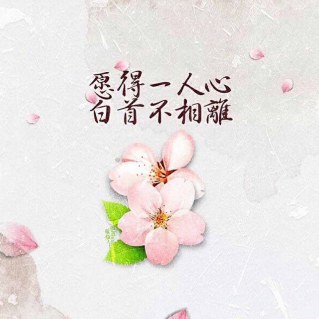 愿得一人心