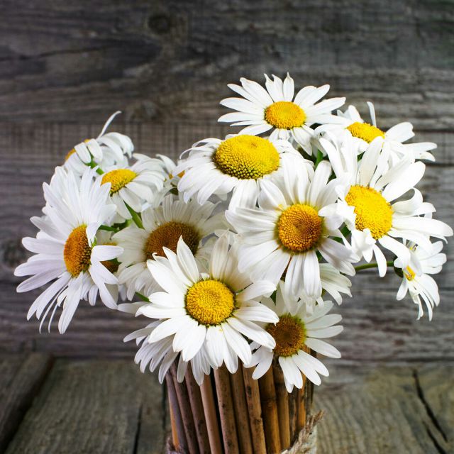 想做你的疯女孩【晓宇H】