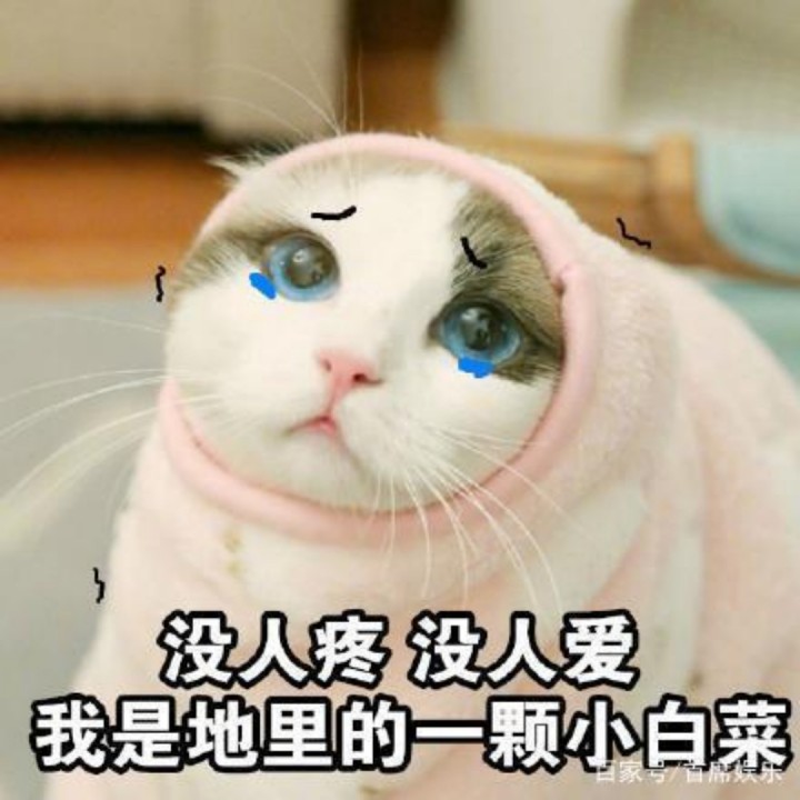 我很丑可是我很温柔