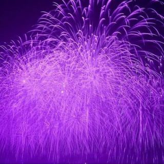 紫色烟花【戒爱～无名指】