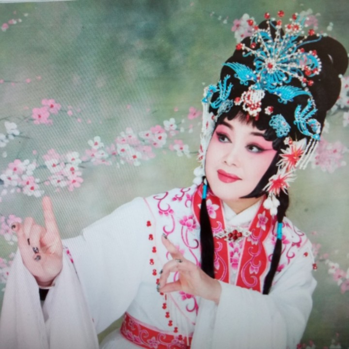 豫剧《风流才子》虎丘山上好风光(伴奏)