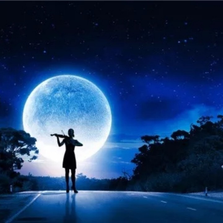 绿岛小夜曲