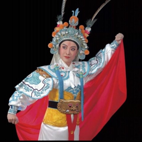 潮剧 狄青取旗 一代英雄蒙此冤【小怪分享】