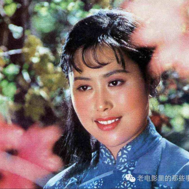 雁南飞