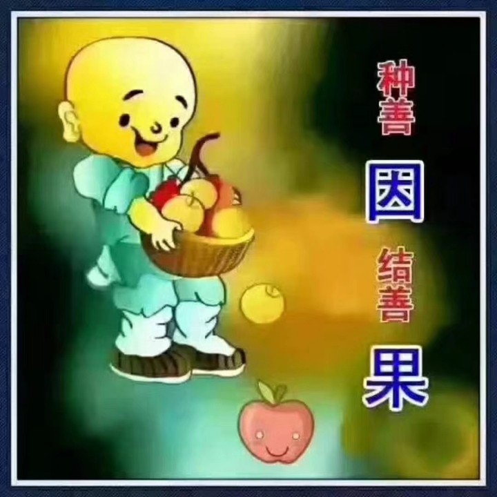 扫心地【消音版】