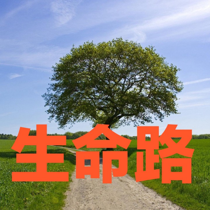 生命路【合唱】 - xs自由自在 唱吧,玩音乐,就上唱吧!