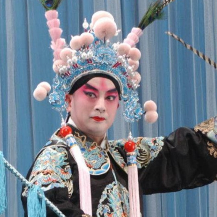 四郎探母选段杨宗保在马上忙传将令【京剧】