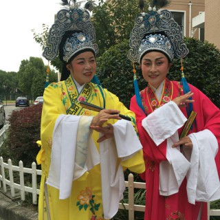 沪剧金丝鸟