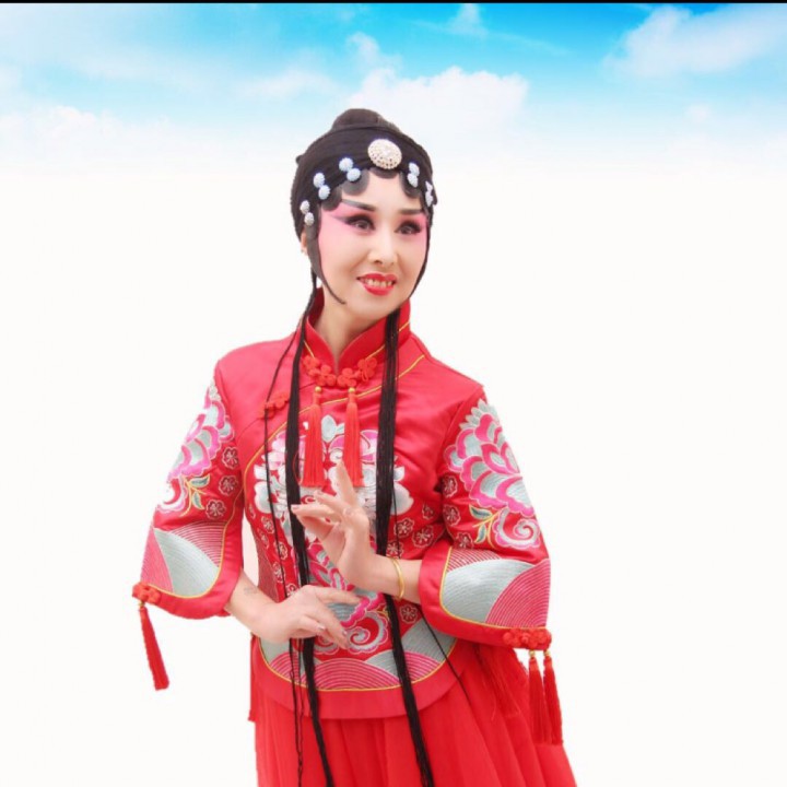 豫剧桑派 桃花庵 陈妙善在庵中悲悲哀哀【标清 知慈整理制作】