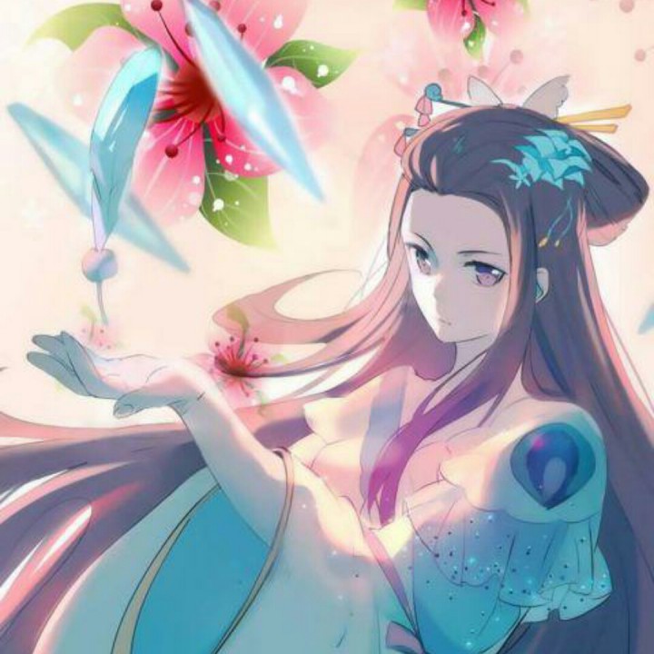 雨蝶