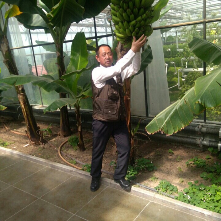 二人台光棍哭妻【不落的太阳-宁】