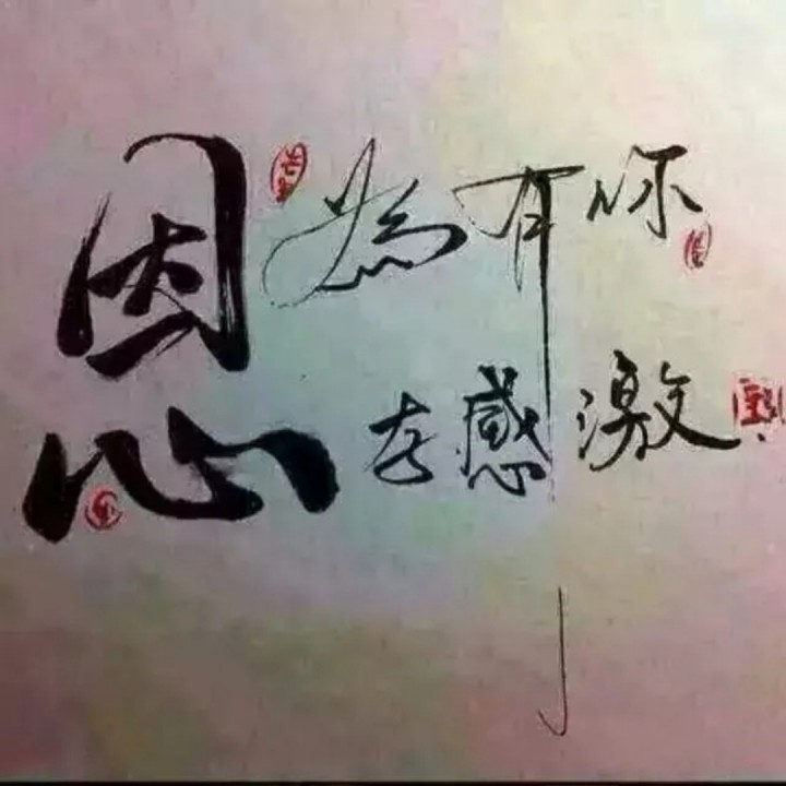 相约在真爱里