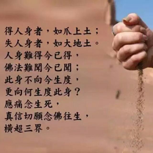 无悔菩提路