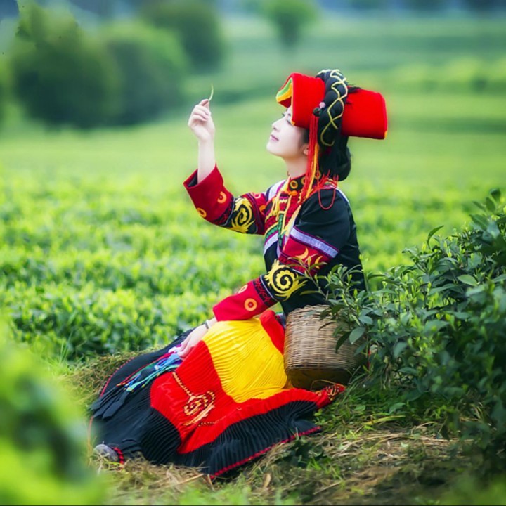 葫芦丝李进147660 唱吧,玩音乐,就上唱吧!