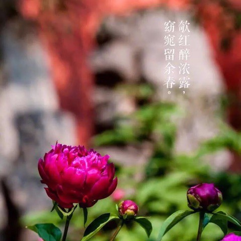 恨在今天再相遇