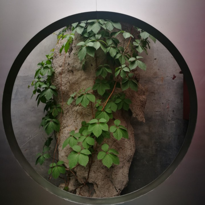 往后余生 - 昨夜何草531 唱吧,听见歌声遇见你