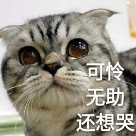 业火苍云歌