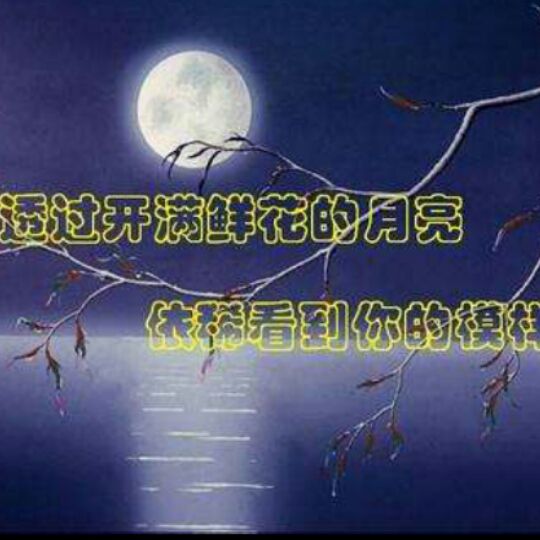 透过开满鲜花的月亮