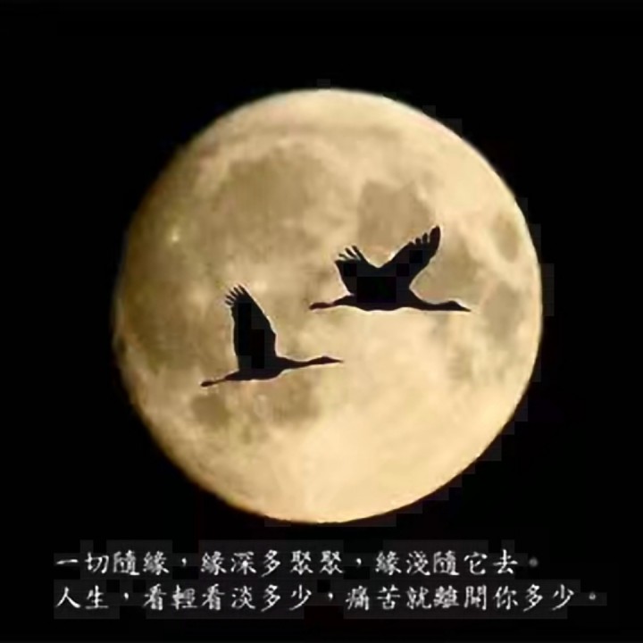 何时了却这牵挂【糖豆提供(合唱)】