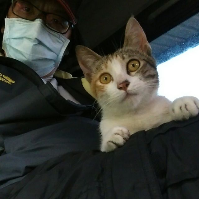 明知故犯