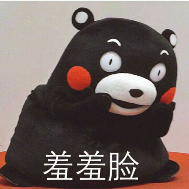 词不达意