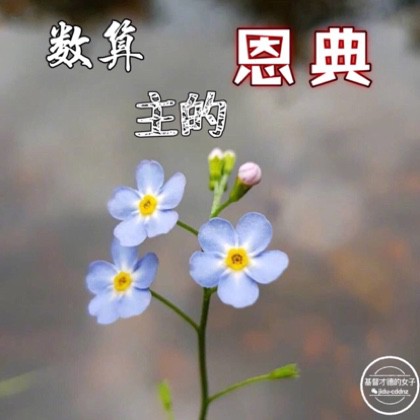 敬拜赞美迎来神同在