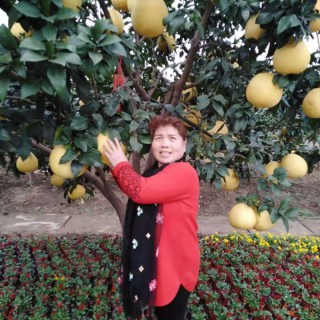 沪剧白炭红火方佩华