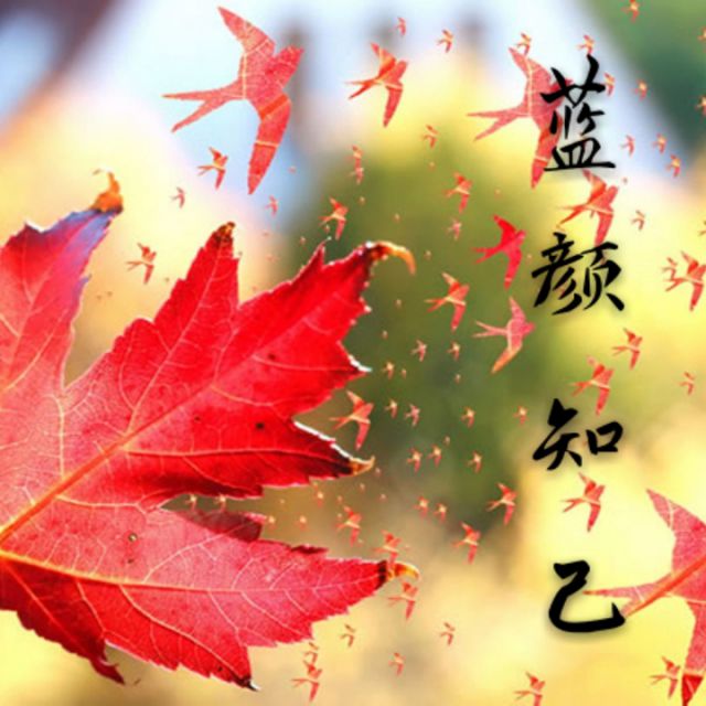 我的蓝颜知己