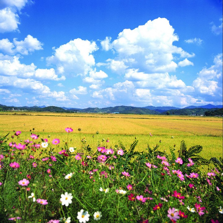 风调雨顺【黔王伴奏】