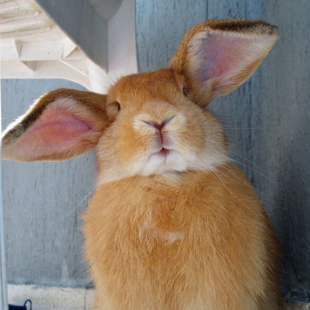 < 亚哈巴的主页 亚哈巴的作品