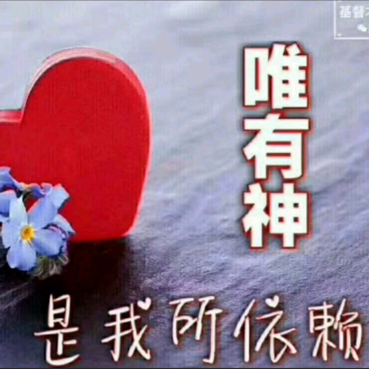 我要专心仰赖祢【女版c调无旋律】