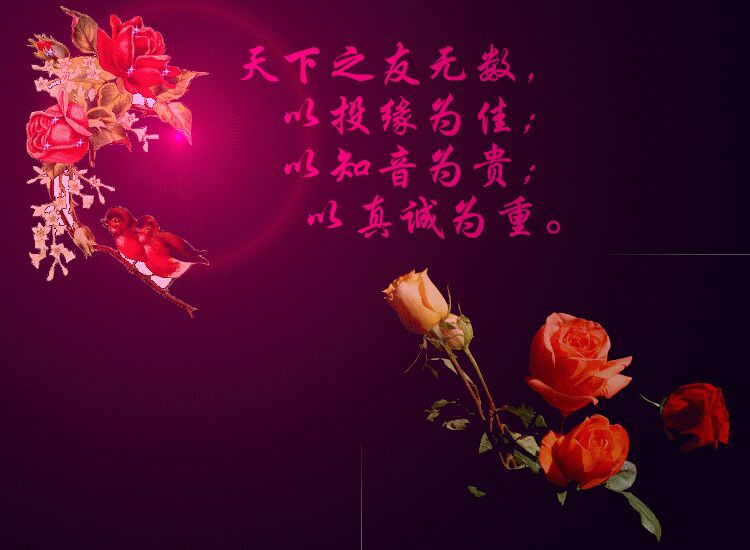 今生最爱