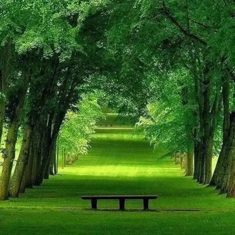 陪你到底【《东斜西独》主题曲】