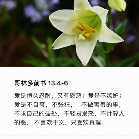 那些花儿 - fxseven1990 唱吧,玩音乐,就上唱吧!