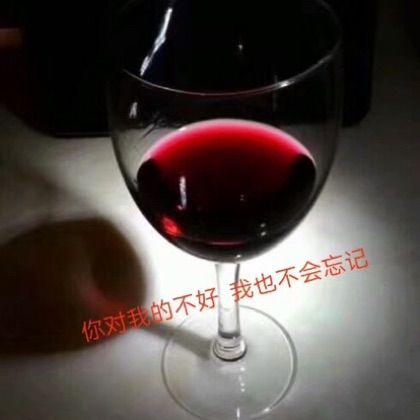 喝醉以后才明白【角度制作 dj】